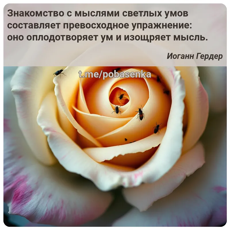«Знакомство с мыслями светлых умов составляет превосходное упражнение оно оплодотворяет ум и изощряет...» height="550" width="550"
