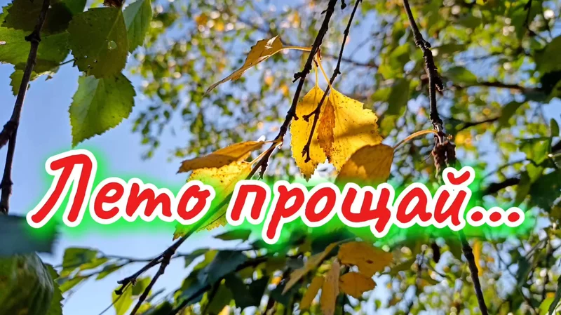 rutube