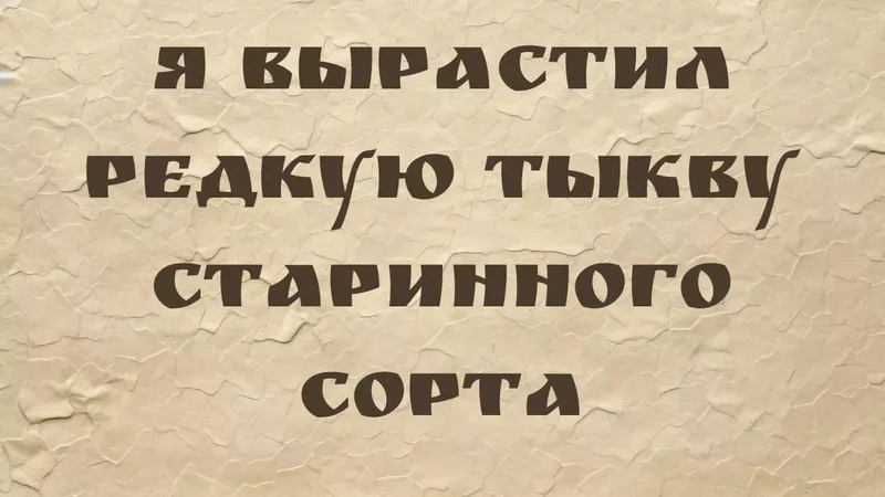 rutube