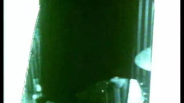 rutube