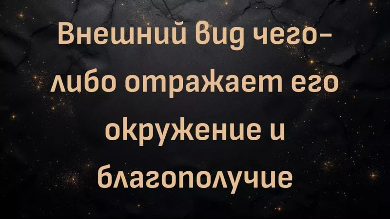 rutube