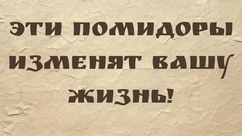 rutube