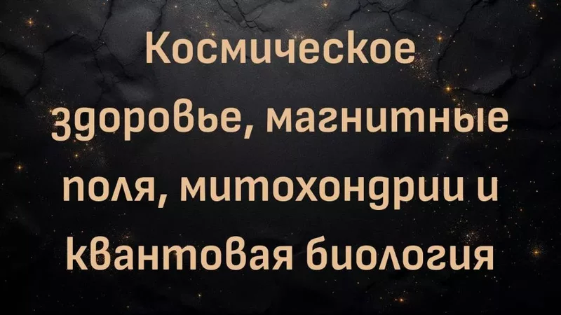 rutube