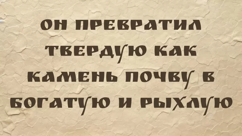 rutube