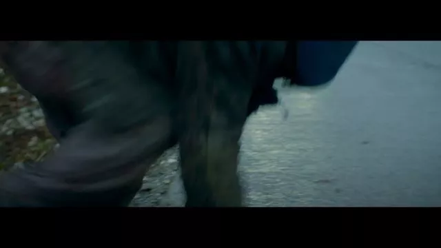 rutube