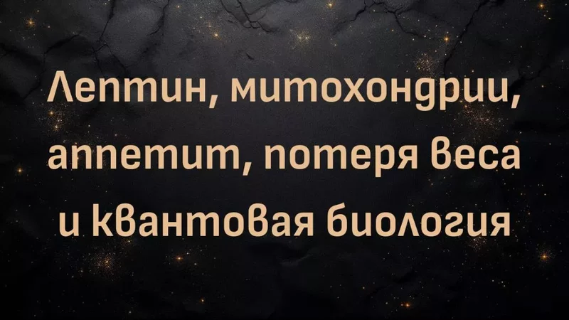 rutube