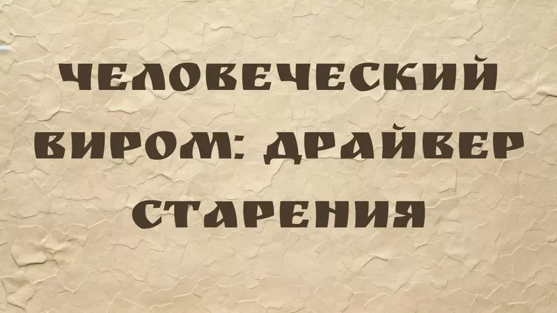 rutube
