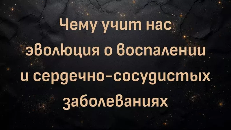 rutube
