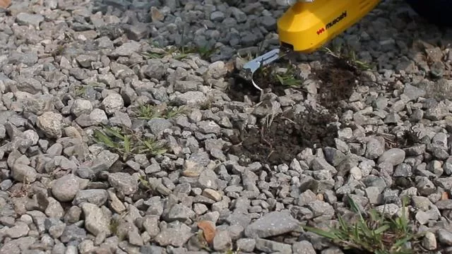 rutube