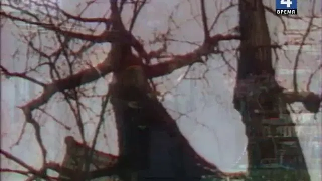 rutube