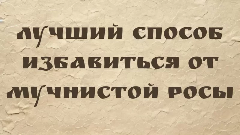 rutube