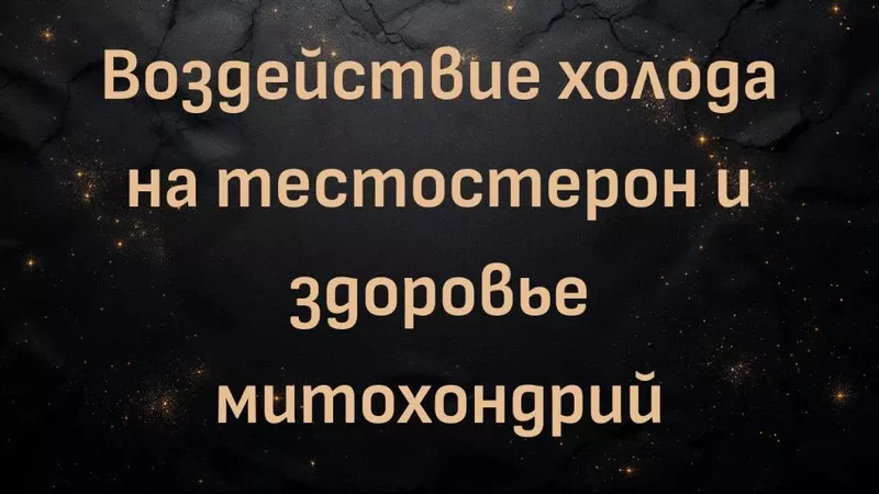 rutube