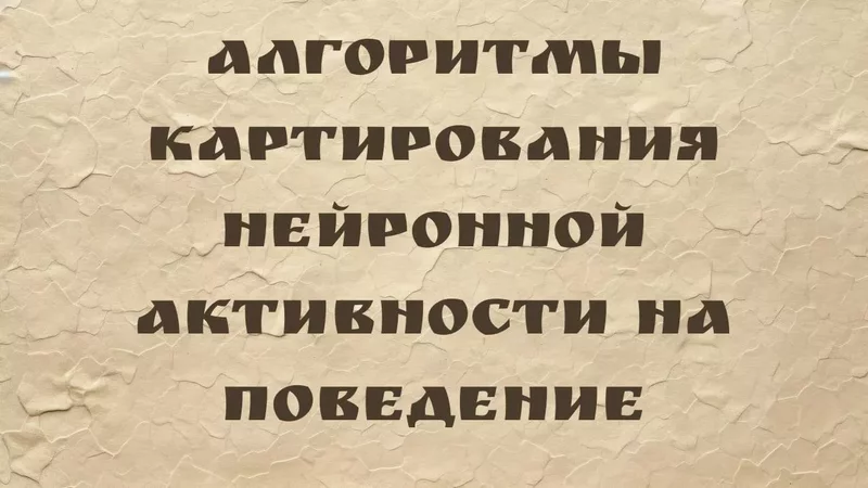 rutube