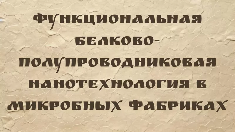 rutube