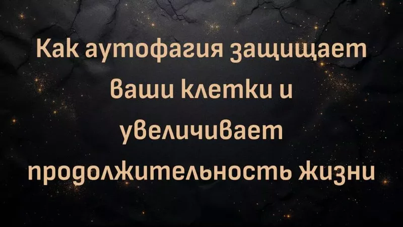 rutube