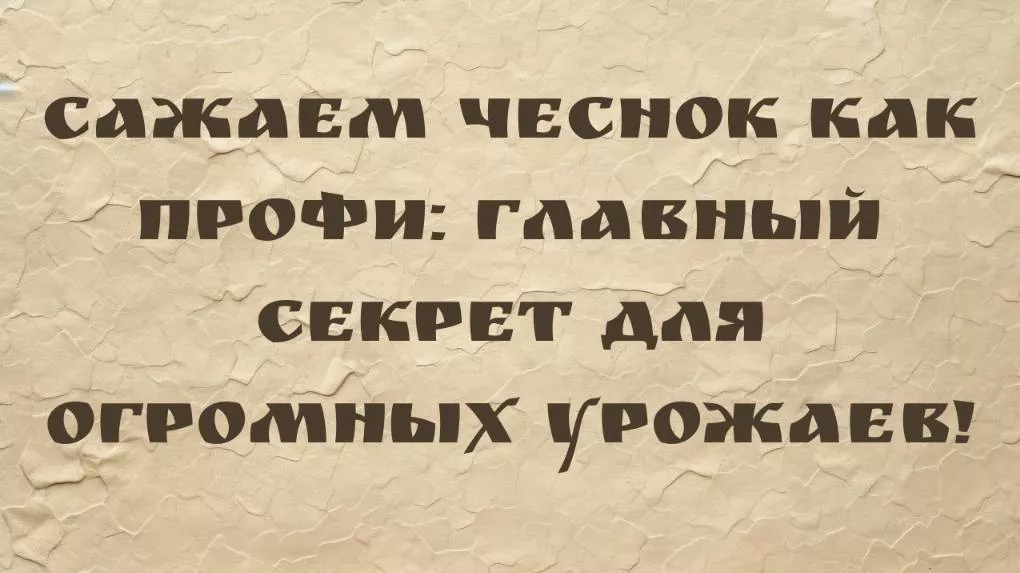 rutube