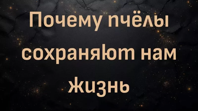 rutube