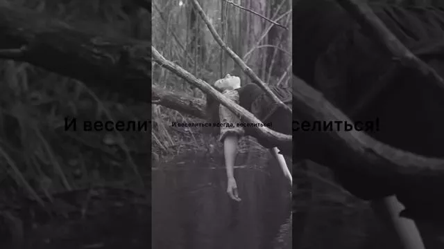 rutube