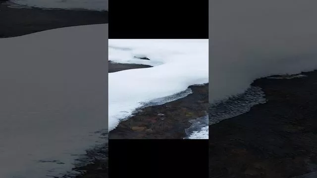 rutube