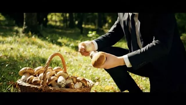 rutube