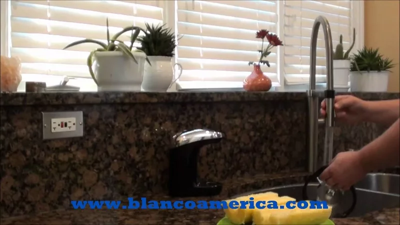 Rare Cuts Video: BLANCO CULINA This Faucet Rocks!