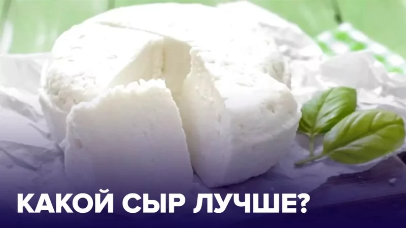 Коровий или козий: выбираем ПОЛЕЗНЫЙ СЫР