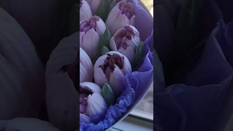 Зефирные тюльпаны