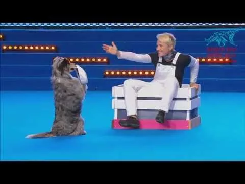 Эти забавные животные - 2845625