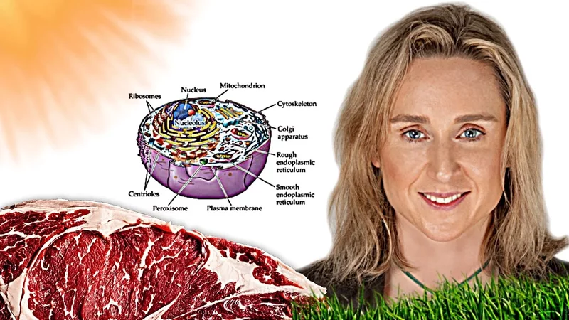Quantum Biologist Explains Raw Carnivore, Fats vs Carbs, Cold Thermogenesis @Thebusysuperhuman