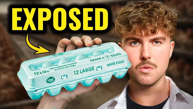 WARNING: Think Twice Before Buying These Egg Brands