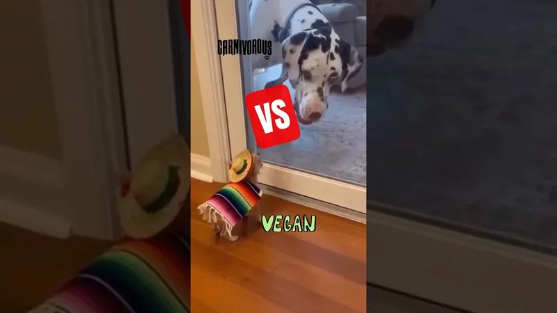 Vegan    Carnivorous Около медицины. ПодписатьсяЧат. Около медицины.Канал:Карнивор. Те, кто смог