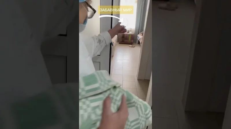 Самая лучшая встреча Отца и Младенца 