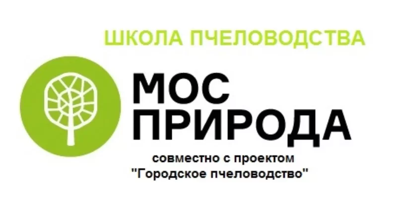 Лекция 1 «Городское пчеловодство»