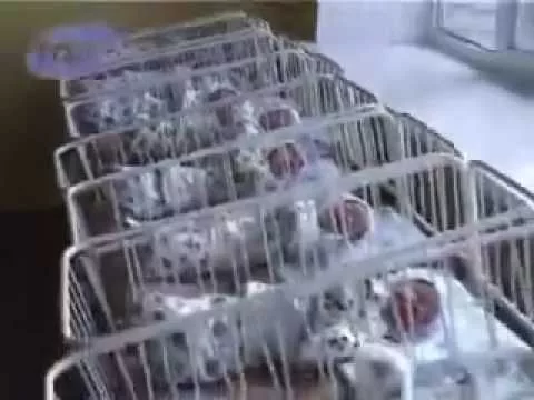 Посмеялся сам - поделись с другом!!! - 685965