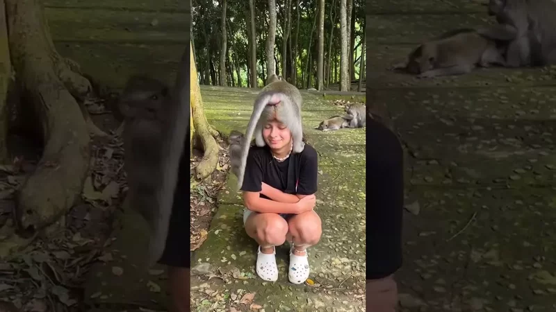Девушка легко отделалась от обезьяны