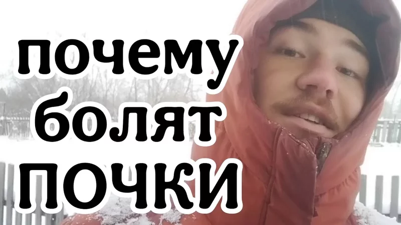 Болезни почек из-за чего?