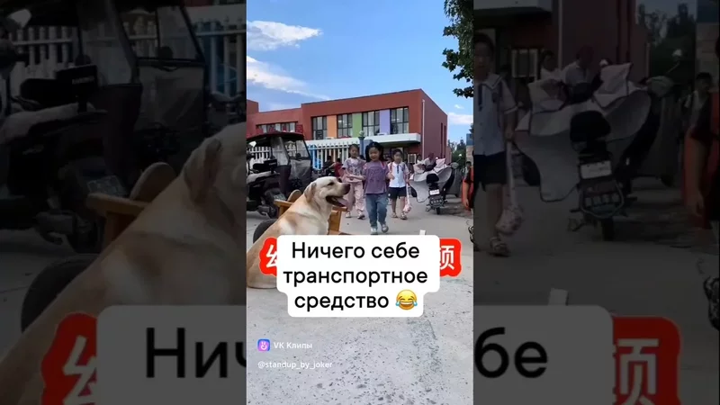Когда не будет бензина