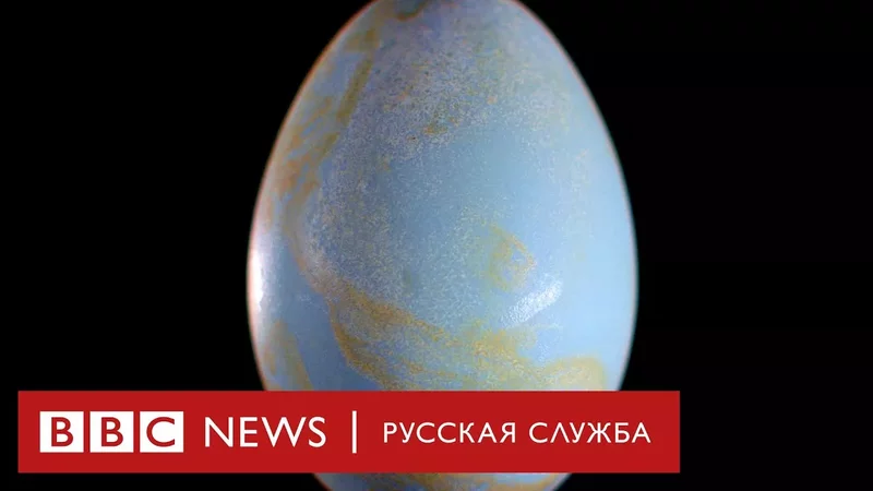 Яйцо: самое совершенное творение природы Документальный фильм Би-би-си