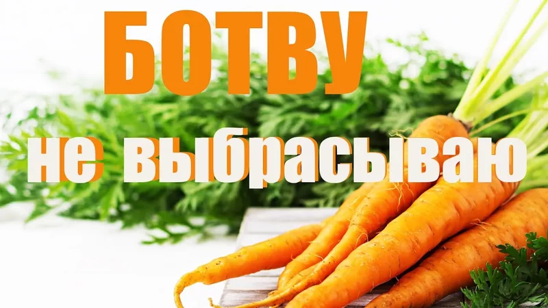 Морковная БОТВА применение в народной медицине, кулинарии. Польза и вред ботвы моркови