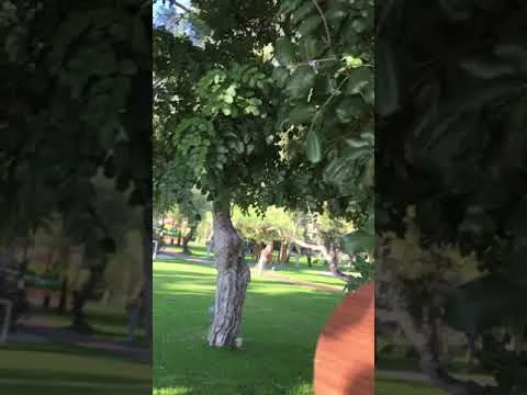 9 декабря 2018 г.