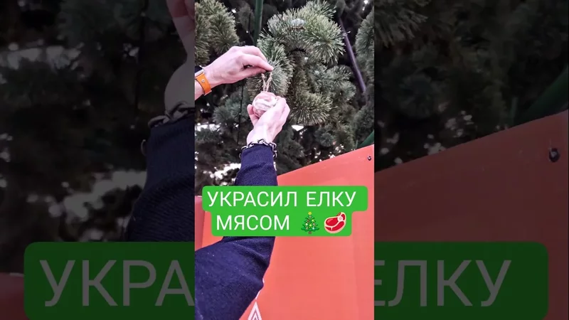 Поздравляю с НАСТУПАЮЩИМ 2026  #карнивор #кетодиета #кето #мясо #карнивордиета