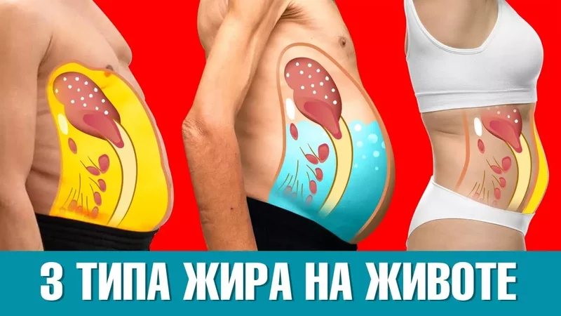 3 типа жира на животе: какой из них у вас?