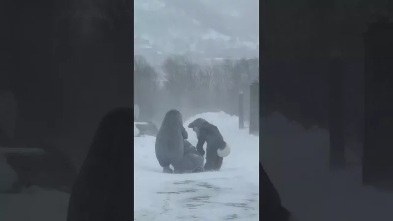 хорошо гуляем!