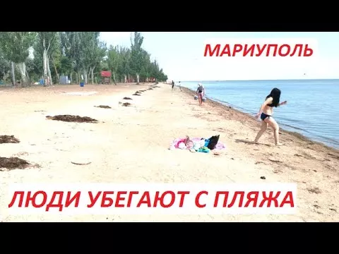 Мариуполь Люди убегают с пляжа. Божьи коровки атаковали левобережный пляж 10.07.2021