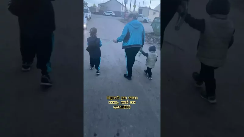 Вот так и живем.