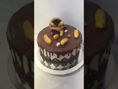 19 февраля 2019 г.