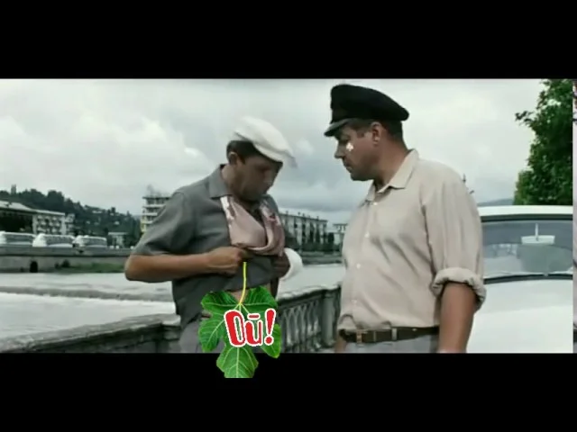 Вас услышат(Бриллиантовая рука)