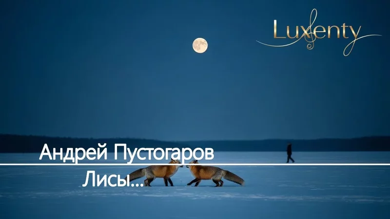 Андрей Пустогаров - Лисы...