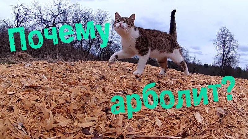 Почему арболит?