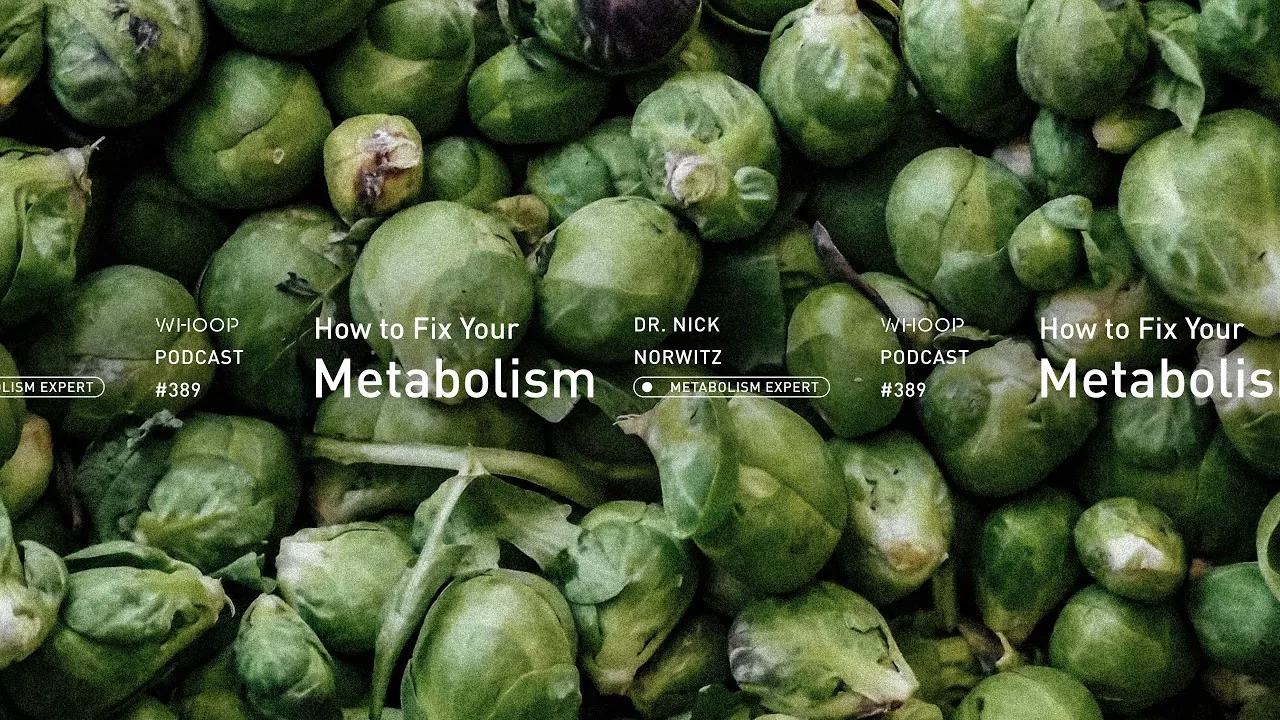 Ник Норвиц: в чём вы ошибаетесь насчёт метаболизма (и как это исправить) - 4377443